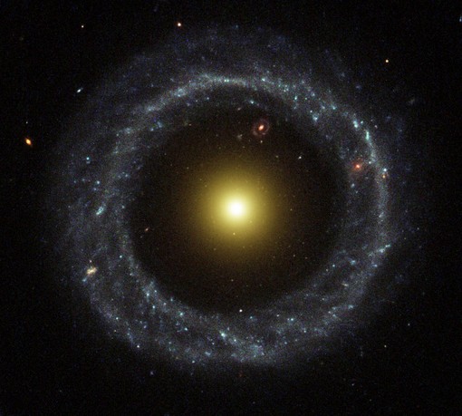 Объект Хога