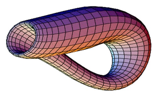 Бутылка Клейна Бутылка Клейна