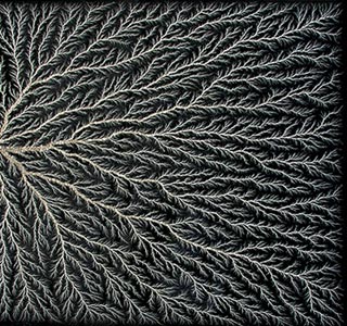 Фигуры Лихтенберга Фигуры Лихтенберга