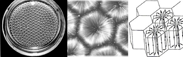 Ячейки Бенара