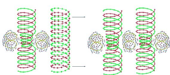Обмен информацией между спиральными структурами пылевой плазмы