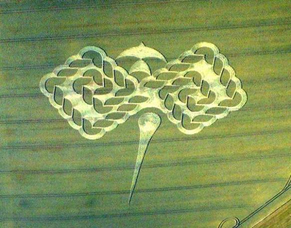 2009-gap-Beckhampton-Wiltshire