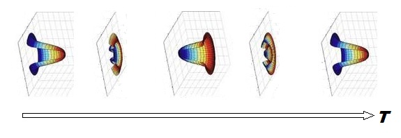 ewh-5-oscill-in-time